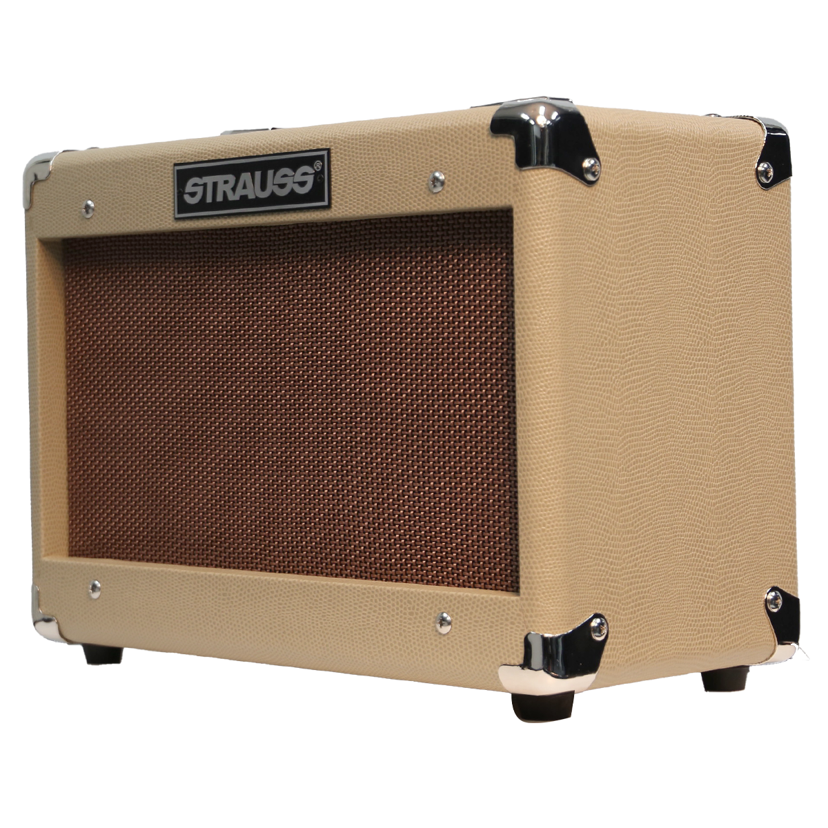 STRAUSS 15W ACOU AMPLIFIER W/CHORUS & MIC