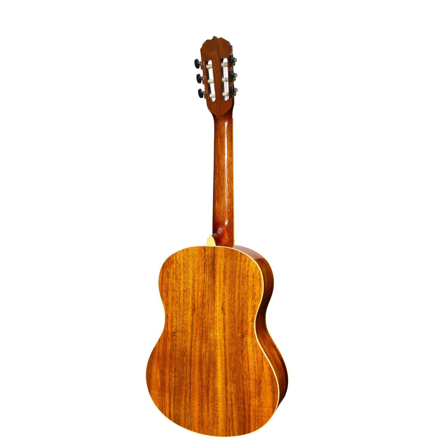 Sanchez Full Size Student Classical Acoustic Guitar Spruce Rosewood (Gloss)
