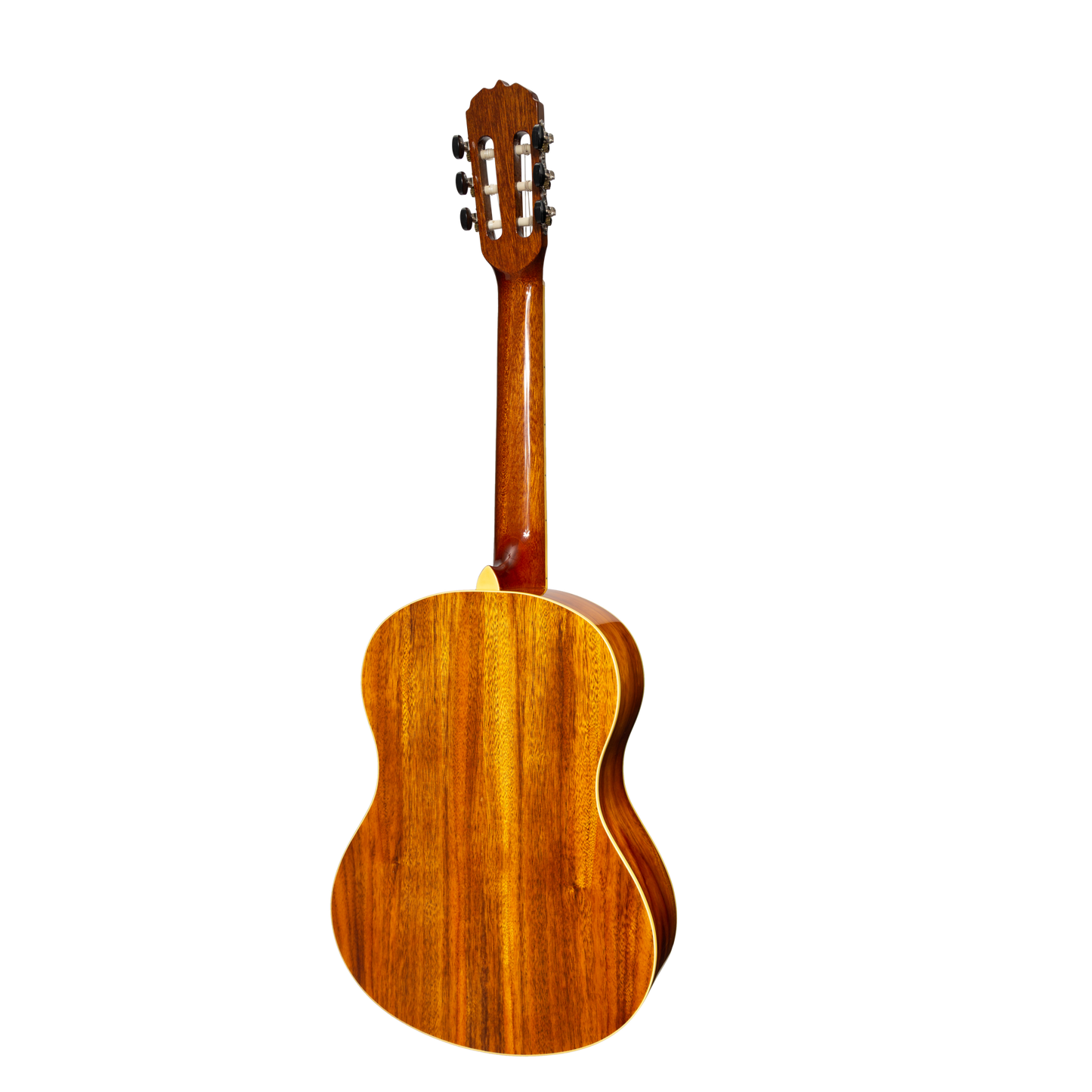 Sanchez Full Size Student Classical Acoustic Guitar Rosewood (Gloss)
