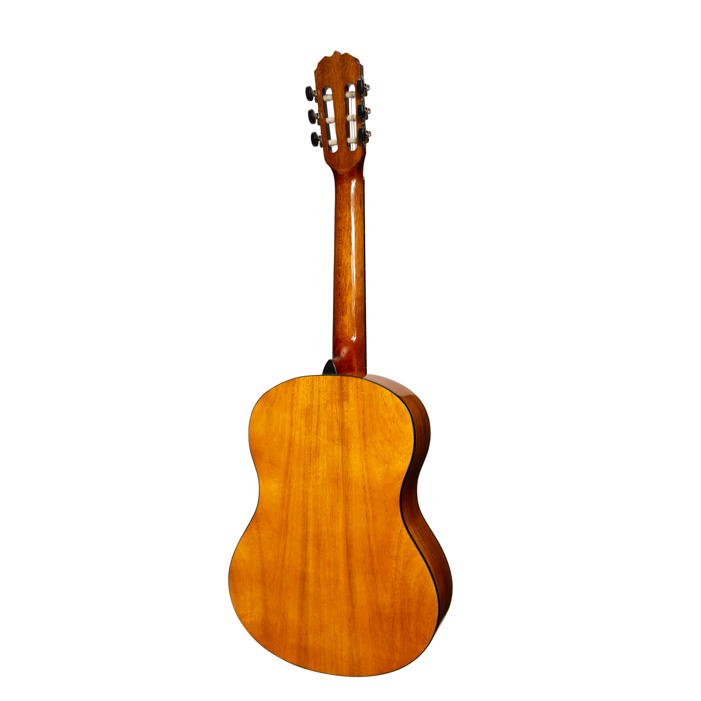 Sanchez Full Size Student Classical Acoustic Guitar Spruce Acacia (Gloss)
