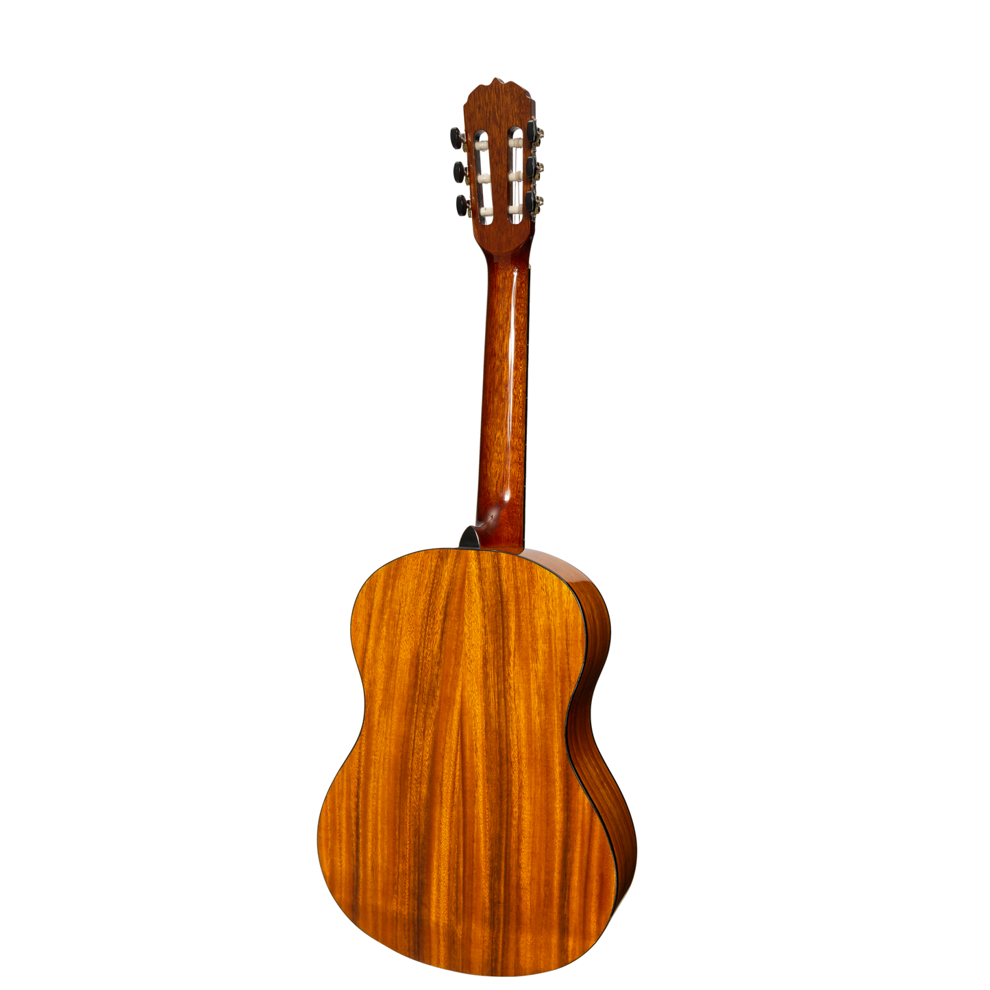Sanchez Full Size Student Classical Acoustic Guitar Spruce Koa (Gloss)