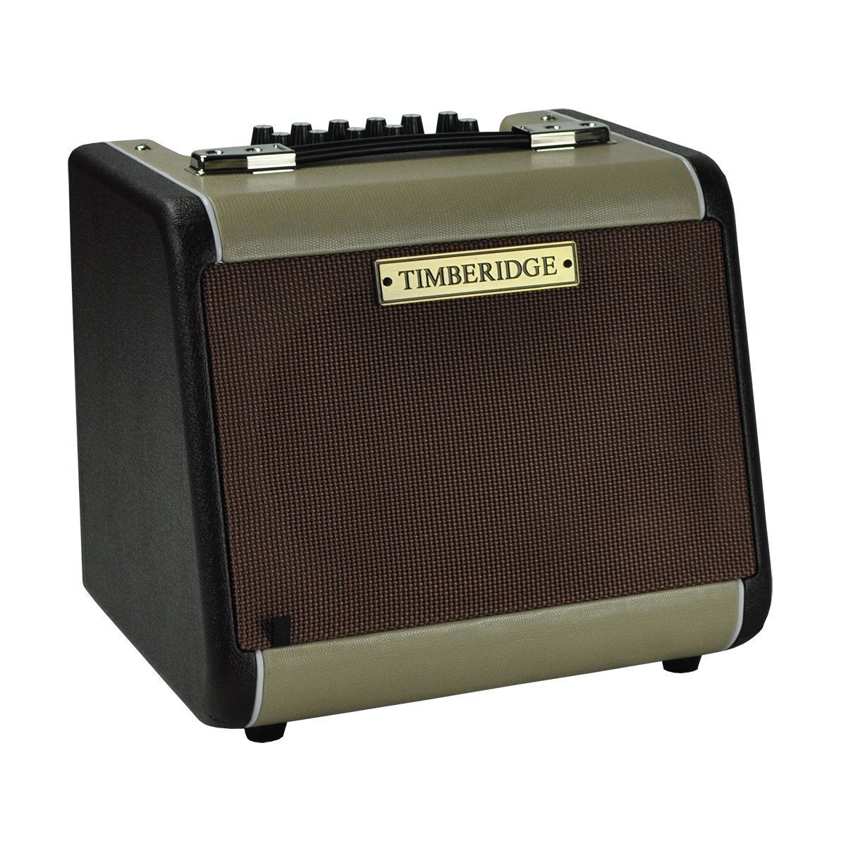 Timberidge Retro-Style 60 Watt Acoustic Guitar Amplifier with Reverb & Chorus/Delay-TR-JA60