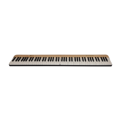 Crown Portable Magnetic Split Digital Piano