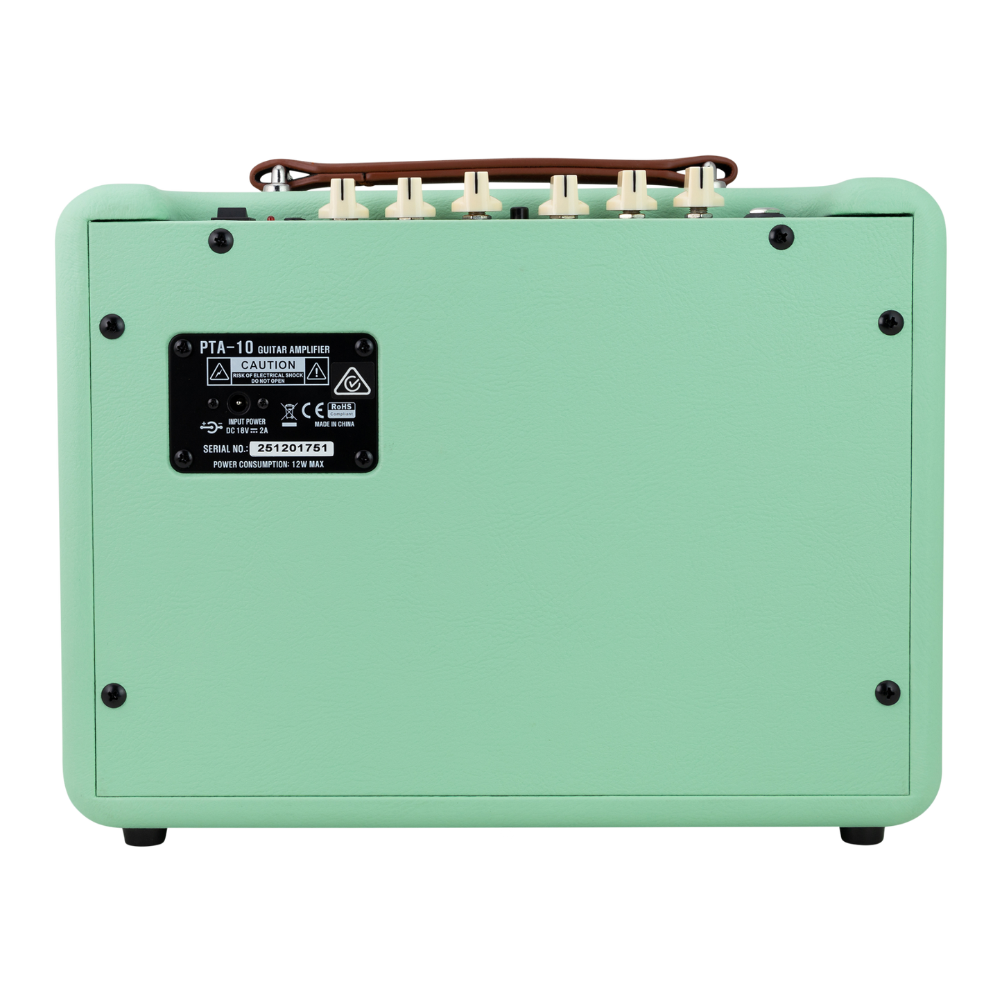 Belcat PTA10 Valve Guitar Combo Amplifier (Mint Green)