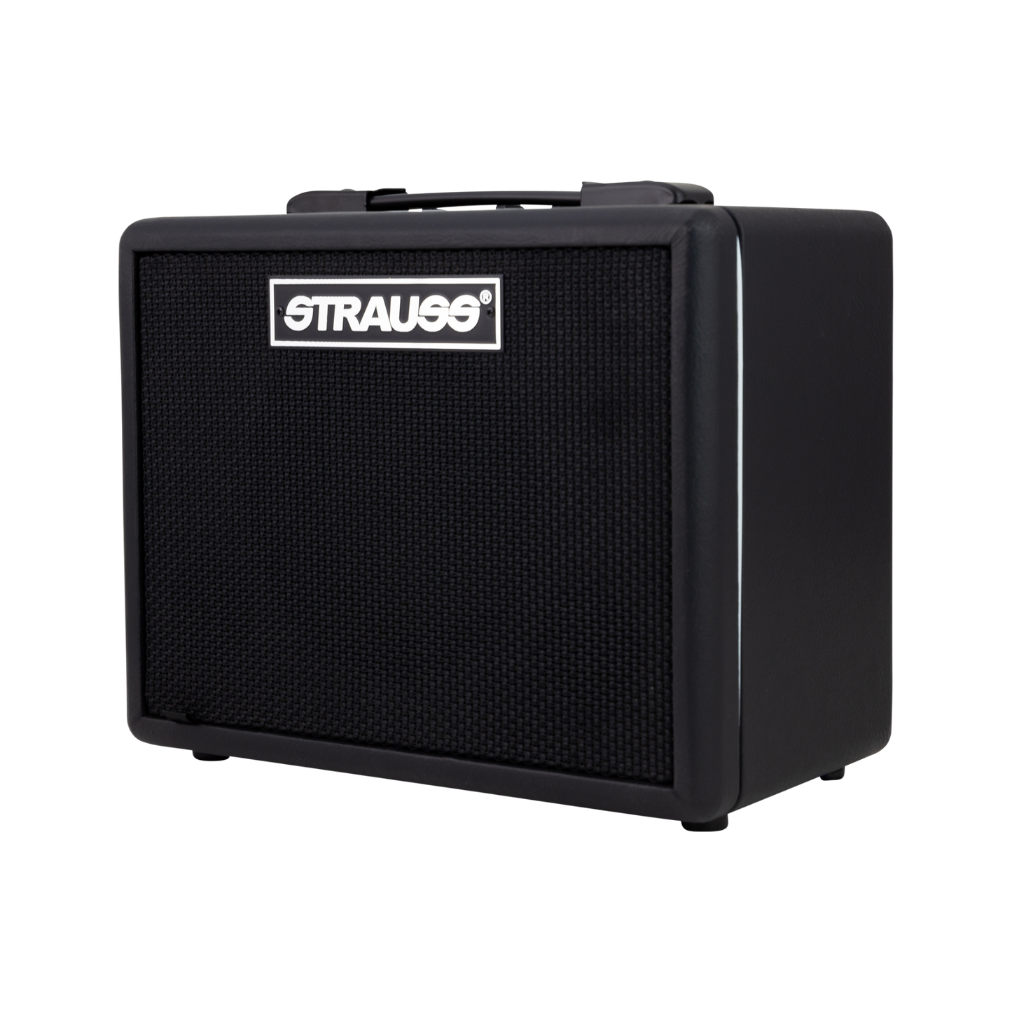 Strauss GN10 10 Watt Vintage Guitar Combo Amplifier (Black)