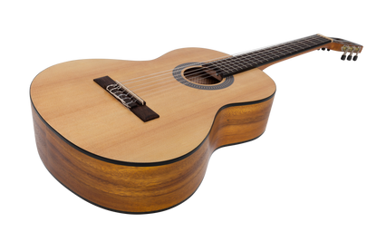 Sanchez 3/4 Size Student Classical Guitar Gig Bag (Spruce/Koa)