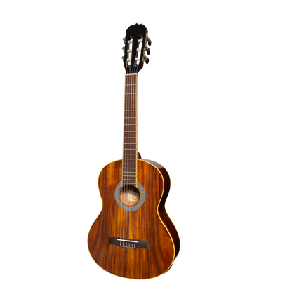 Sanchez 3/4 Student Acoustic Classical Guitar Rosewood (Gloss)