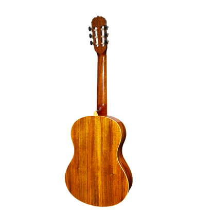 Sanchez Full Size Student Classical Acoustic Guitar Rosewood (Gloss)