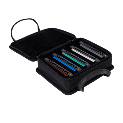 East Top Set of 5 Blues Harmonica's with Case