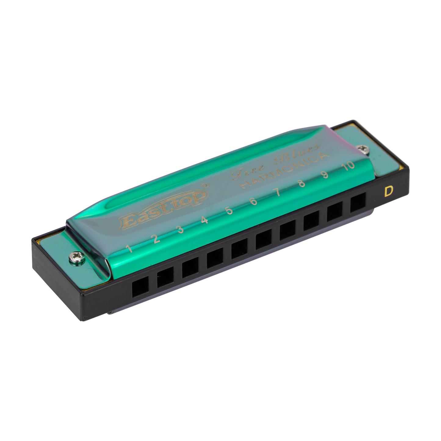 East Top Set of 5 Blues Harmonica's with Case
