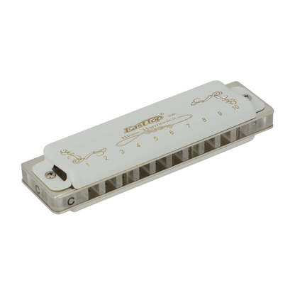 East Top 10 Hole Professional Blues Harmonica G