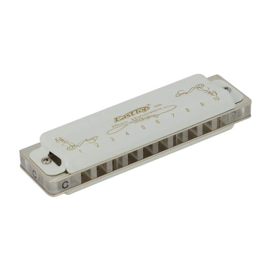 East Top 10 Hole Professional Blues Harmonica G