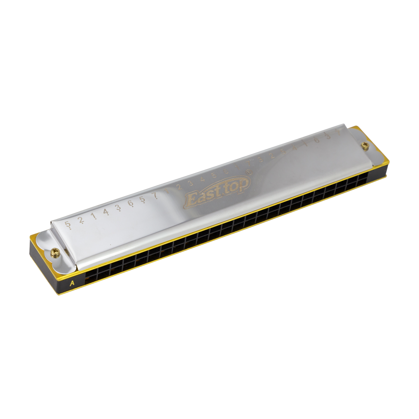 East Top 24 Hole Accent Tremolo Harmonica G